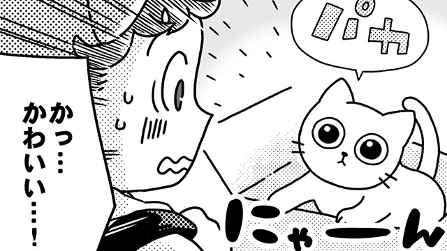 マネーまるわかり イメージ